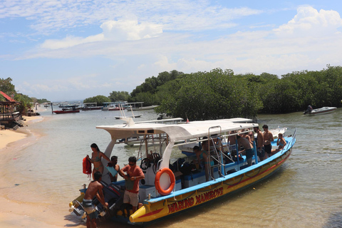 Depuis Lembongan : Plongée avec masque et tuba dans 3 endroits, mangrove et excursion à terrePlongée en apnée sur 3 sites sans déjeuner