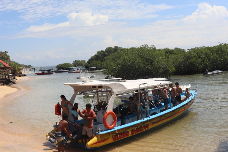 Desde Lembongan: 3 lugares para hacer esnórquel, manglares y recorrido terrestreEsnórquel en 3 puntos sin comida