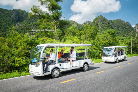 河内：下龙湾至兰哈湾 - 猫巴岛一日游从河内出发，乘坐豪华巴士（22 座）