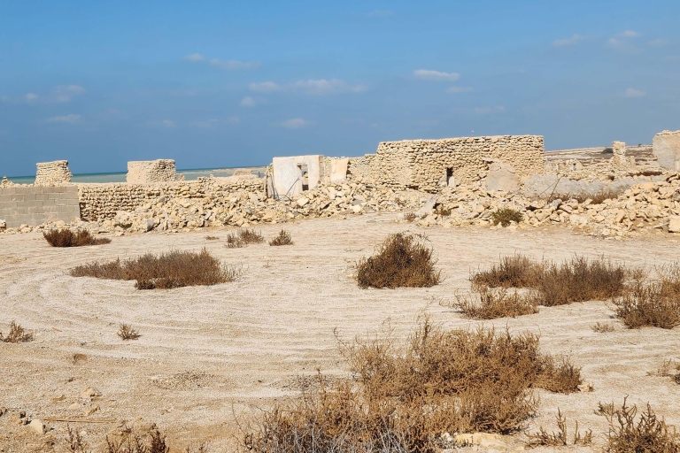 Nord du Qatar, île pourpre, mangroves et fort de Zubara
