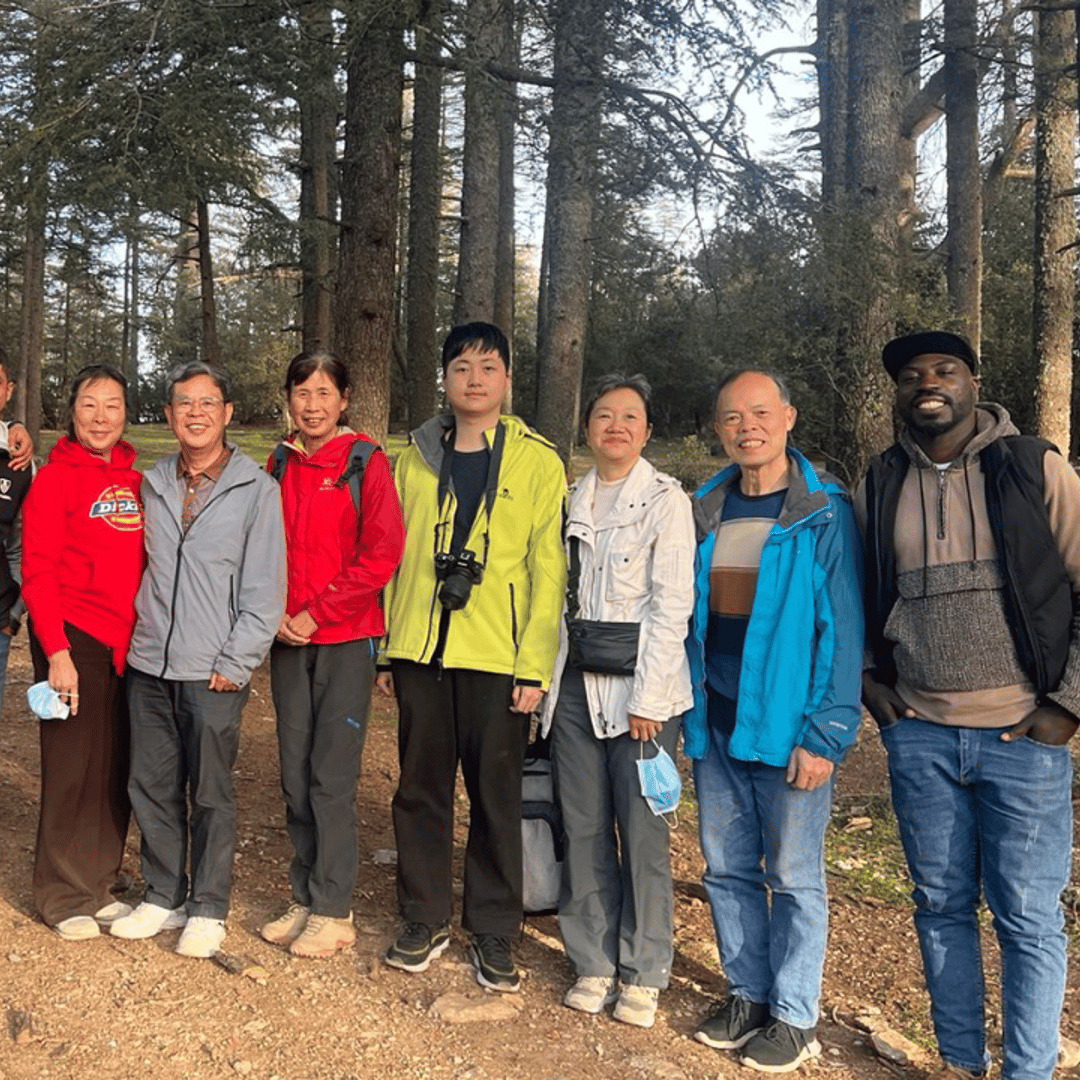 Excursion d'une journée dans les montagnes de l'Atlas Forêt de cèdres Grottes d'azrou ifrane - trekking