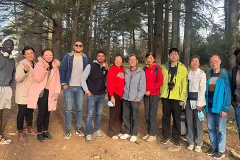 Excursion d'une journée dans les montagnes de l'Atlas Forêt de cèdres Grottes d'azrou ifrane