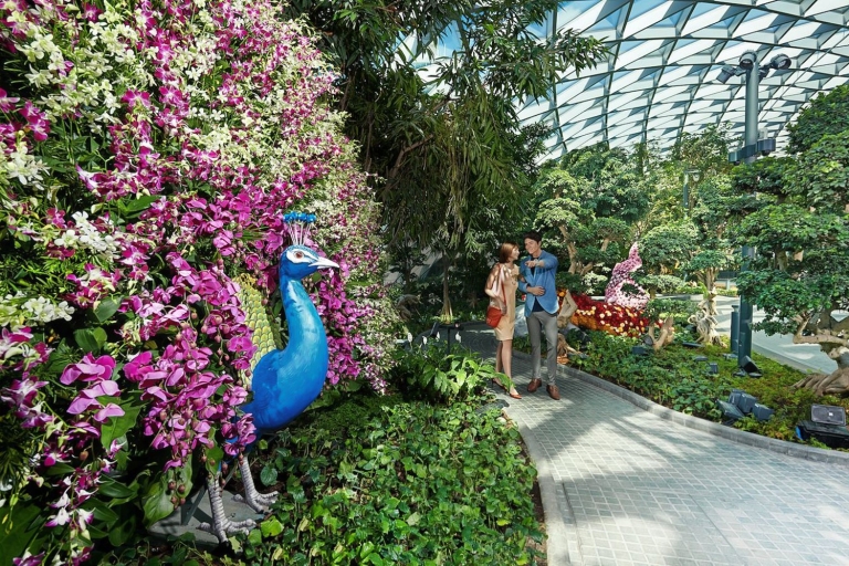 Jewel Changi Airport: Hedge Maze and Canopy Park Ticket