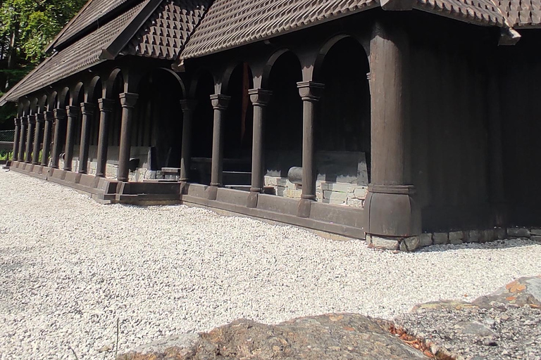 Bergen : Visite guidée en voiture avec le musée de la vieille ville de Bergen et Fantoft ...