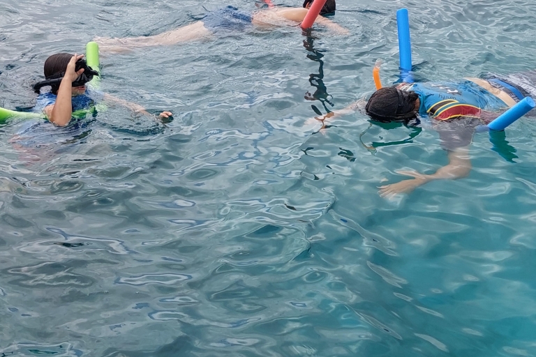 Deportes acuáticos en Vanuatu Port Vila: Excursión de snorkel para principiantes