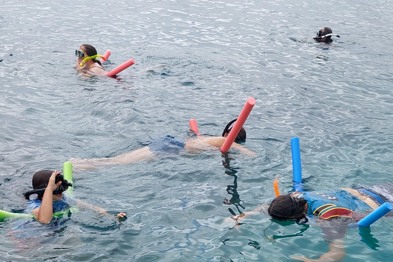 Deportes acuáticos en Vanuatu Port Vila: Excursión de snorkel para principiantes