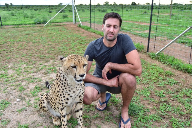 Visit Victoria Falls  Cheetah Walk & Interaction Experience in Livingstone, Zambia