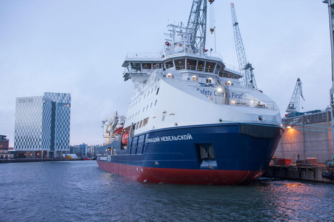 Helsinki: Harbor, Icebreakers & Cathedral Walking Tour