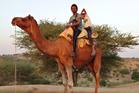 Övernattning i öknen nära JodhpurKamelsafari + Jeepsafari halvdagstur från Jodhpur