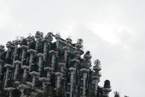 Shanghai: Suzhou Creek Industrial Heritage Walking Tour