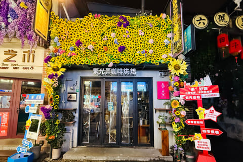 Shanghai Noodles, Acrobatic Show and Tianzifang Night Tour