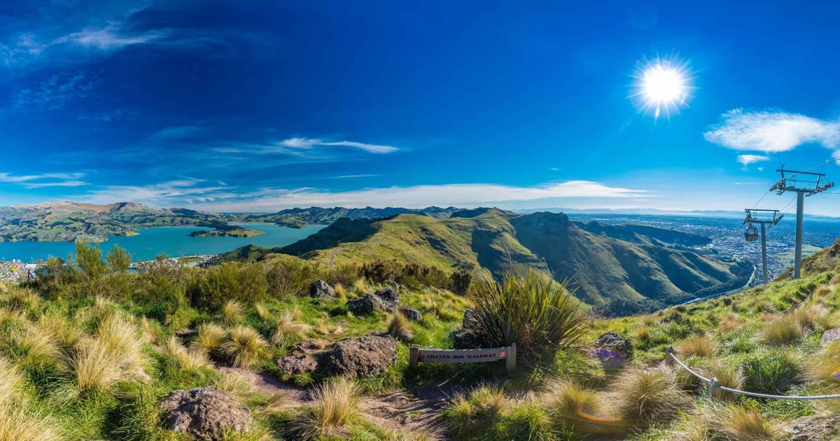 Christchurch City Highlights Half Day Tour | GetYourGuide