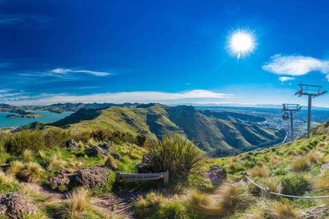 Christchurch City Highlights Halvdagsutflykt