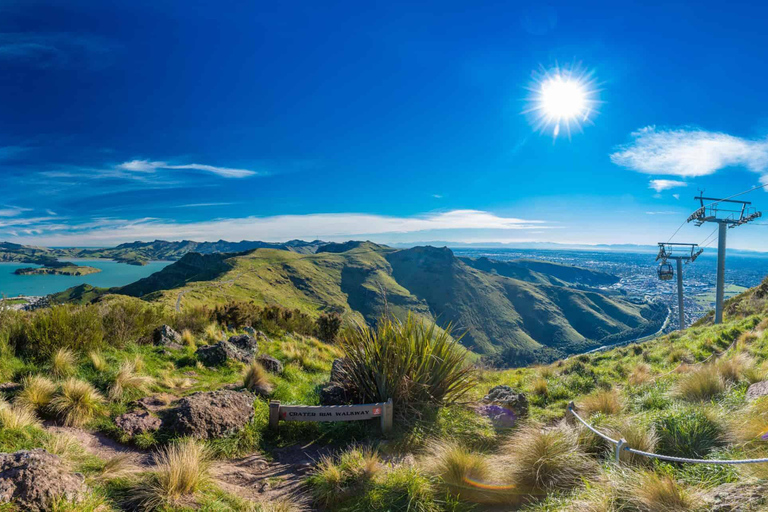 Visite d&#039;une demi-journée à Christchurch City Highlights