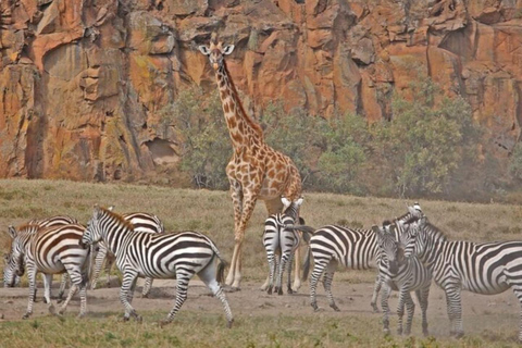 From Nairobi: Hell’s Gate National Park & Lake Naivasha