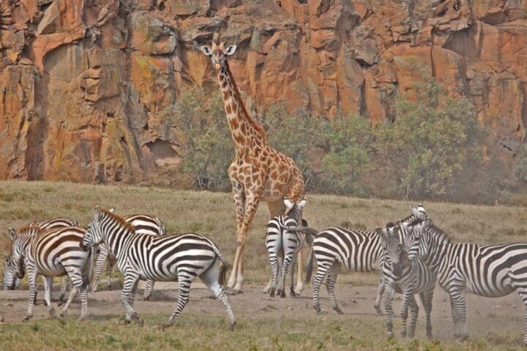 From Nairobi: Hell’s Gate National Park & Lake Naivasha
