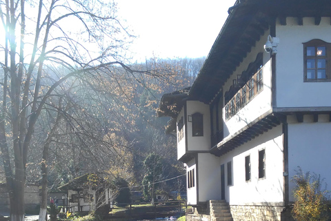 Sliven: Open Air Ethnographic Museum ETAR Entry TicketGuided Tour and Ticket