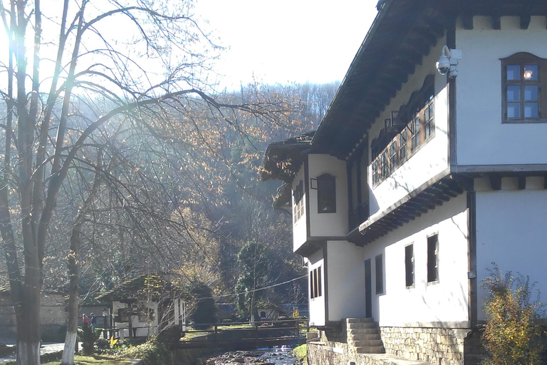 Sliven: Open Air Ethnographic Museum ETAR InträdesbiljettGuidad tur och biljett