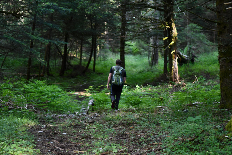 Peloponnese: Menalon Hiking & Archery Lesson Private Tour