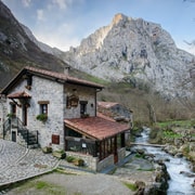Picos de Europa excursion: Bulnes and Cabrales cheese cave with food tasting