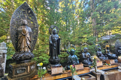 Wakayama & Koyasan: Private Tour with Hotel Pickup & Lunch