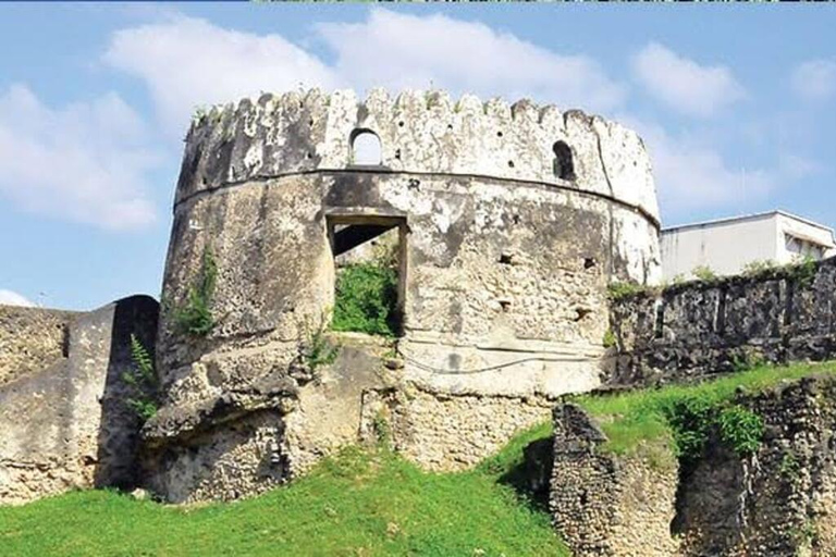 Zanzibar: Half-Day Adventure to Prison Island & Stone Town