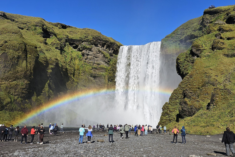 Private Tagestour an der Südküste mit GletscherwanderungPrivate Tagestour an die Südküste mit Gletscherwanderung