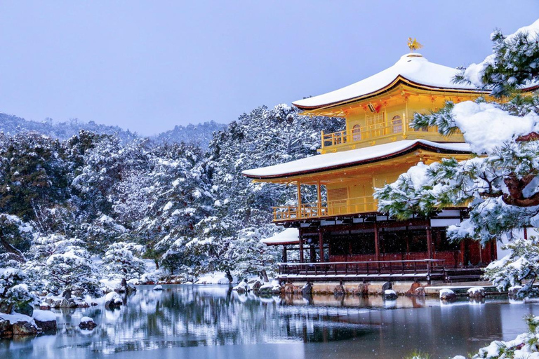 Tokyo: City One Day Private Customizable Top Places Tour