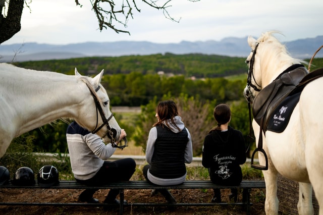 Mallorca: Sunset Horseback Ride with Drinks