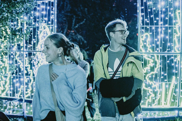 Budapest: biglietto d'ingresso per il Lumina Light Park Wonderworld