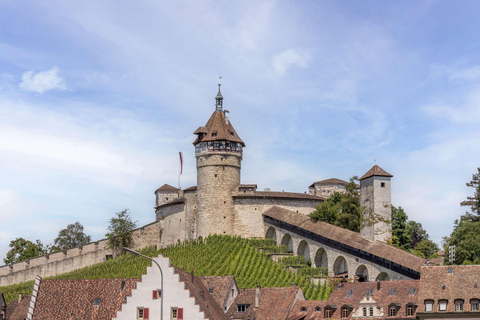 من زيورخ: جولة لنصف يوم في شلالات الراين وشافهاوزن