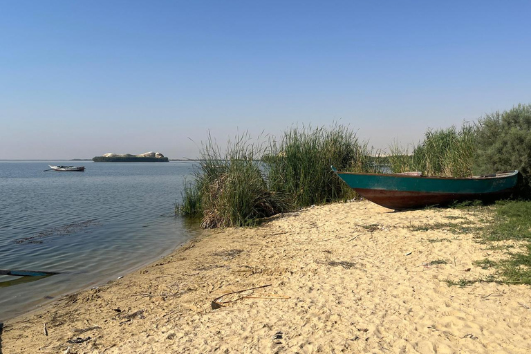 From Cairo: 4x4 Desert Safari, Waterfalls & Magic Lake Shared Tour: Wadi El Rayan, Magic Lake & Lake Qarun, Jeep