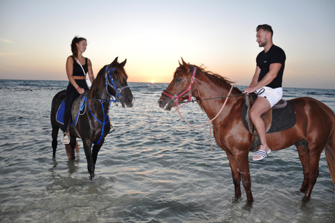 DJERBA : Randonnée à cheval privée (2h).