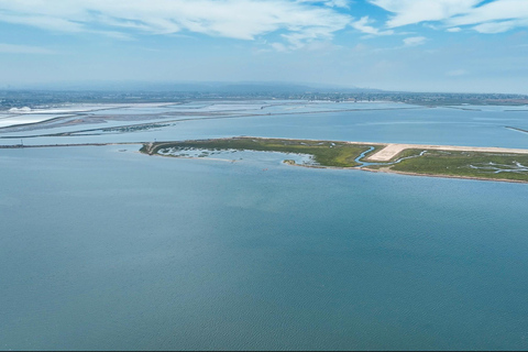 San Diego: excursión en kayak para observar la fauna salvaje en aguas cristalinasSan Diego: excursión en kayak para observar la fauna salvaje con aguas cristalinas