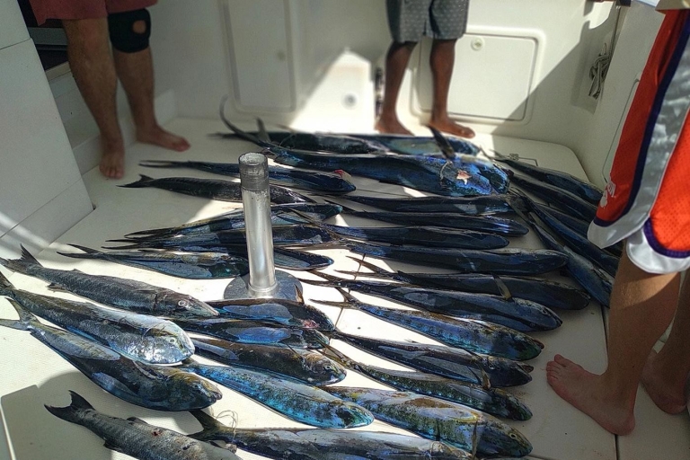 Private Fishing Charters "Gone Dog" 37' boat offshore trip Private Fishing Charters "Gone Dog" 37' boat 9 hours trip