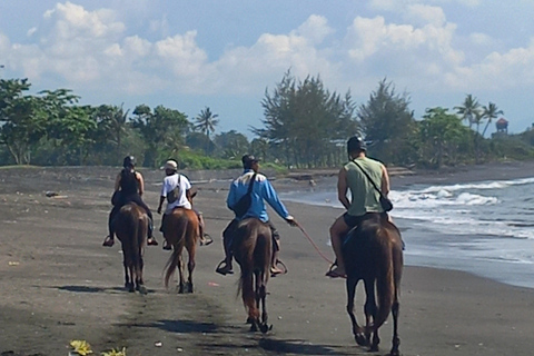 Bali : Beach Horse Riding Experience & Hidden Waterfall Beach Horse Riding Experience + Hidden Waterfall