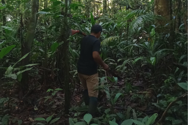 Iquitos: Ganzer Tag Vida Salvaje en el Amazonas