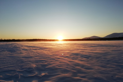 Levi: Reindeer Farm Visit and Snowshoe Adventure with Lunch