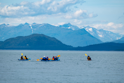 Juneau: Paddle with Whales Kayak Adventure