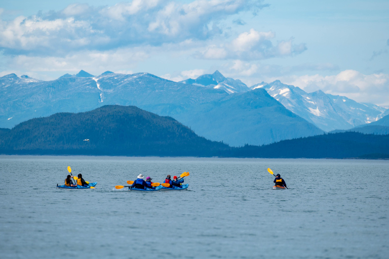 Juneau: Paddle with Whales Kayak Adventure