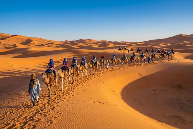 Circuit de 3 jours de Marrakech à Fès, avec le désert de Merzouga et un camp de luxe - dromadaire
