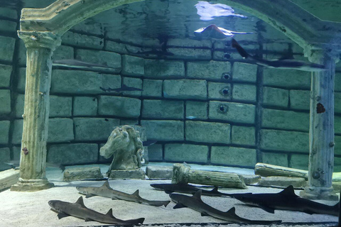 Antalya: Aquarium Tour with Hotel Pickup & Combo Options Antalya Aquarium & Wax Museum Entry Ticket
