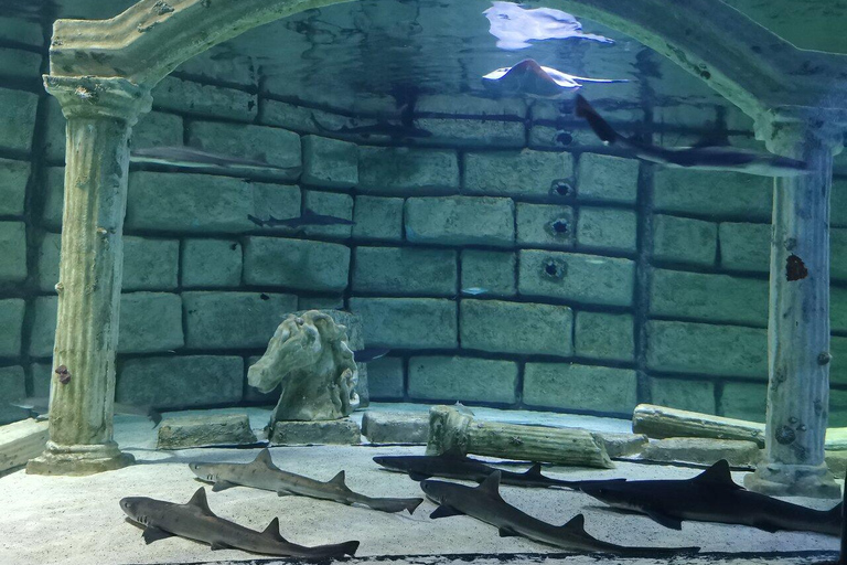 Antalya: Aquarium Tour with Hotel Pickup & Combo Options Antalya Aquarium & Wax Museum Entry Ticket