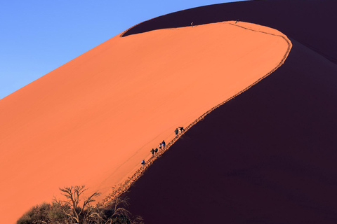 Namibia: 13-Day Tour with Game Drives and Hot Air Balloon
