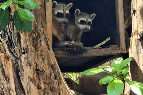 Quito: Zoo Tour with Transportation and Admission or Ticket