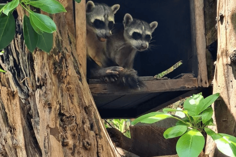 Quito: Zoo Tour with Transportation and Admission or Ticket