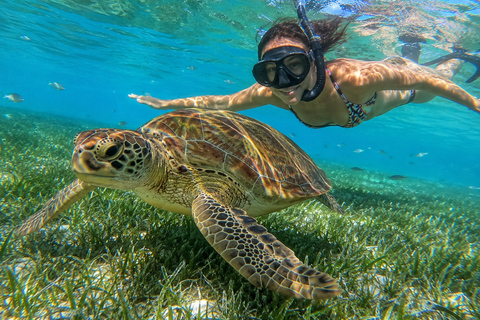 Marsa Alam: Diving & Snorkel Trips on the Boat with Lunch