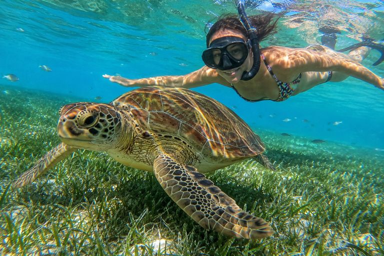 Marsa Alam: Diving & Snorkel Trips on the Boat with Lunch
