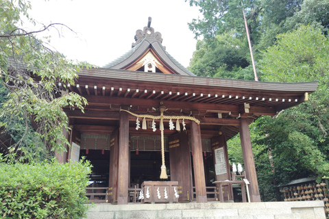 Nara: Spiritueel hart en landschappelijke schoonheid van Asuka Village