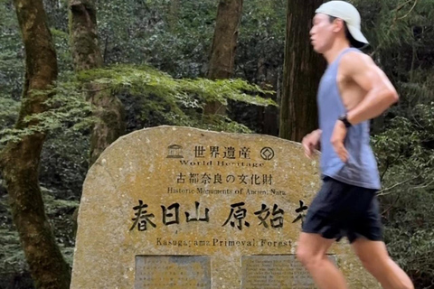 Nara: Jog Through 3 UNESCO World Heritage Sites with Deers Basic Running Plan